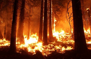 В Бурятии потушили 9 лесных пожаров