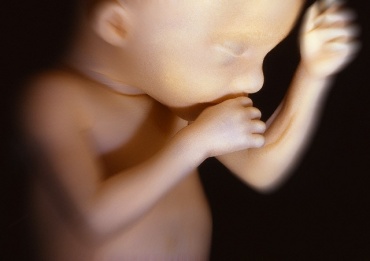 Эмбрион - не человек