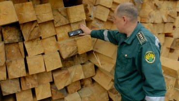 Предприниматель из Бурятии организовала вывоз леса в Китай