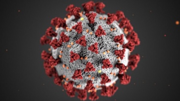 В Бурятии коронавирус подтвердили еще у 47 человек