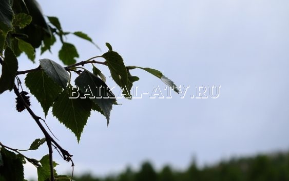 Синоптики прогнозируют грозы и низкие температуры на Байкале