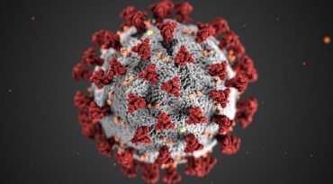 В Бурятии коронавирус подтвердили еще у 40 человек