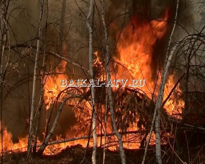 Почти 1 га леса сгорел по вине жителей Бурятии
