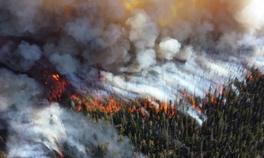 В Бурятии действуют 32 лесных пожара