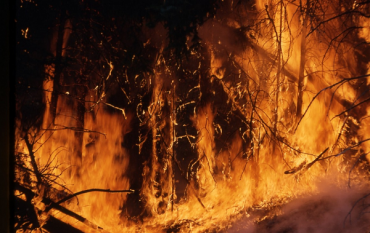 В Бичурском районе Бурятии горят 1200 га леса