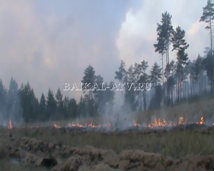 В Курумканском районе горит 140 гектаров леса