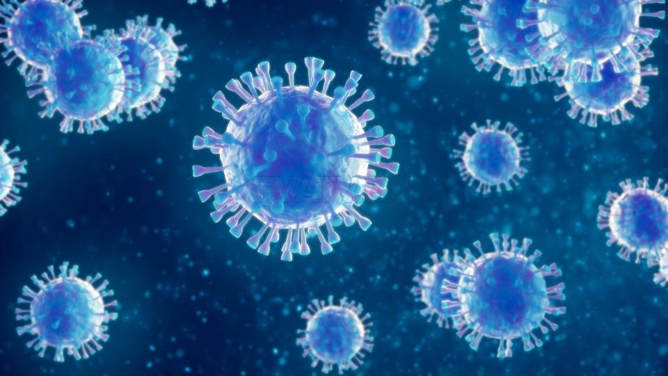 В России больше 6-ти тысяч человек заразились коронавирусом