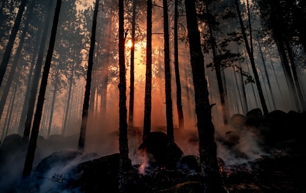 В Бурятии тушат восемь лесных пожаров