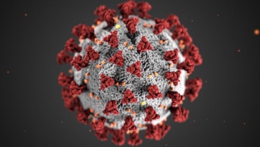 В Бурятии еще 31 человек заразился коронавирусом 