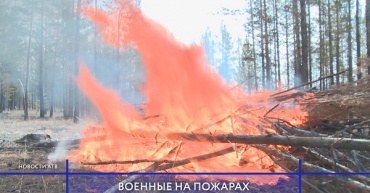 Путин поручил Минобороны заняться лесными пожарами