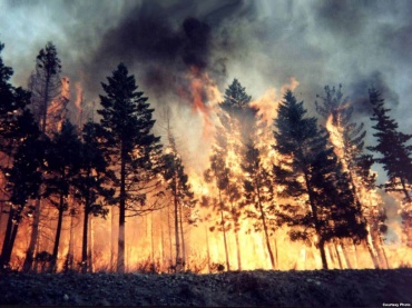 В Бурятии горят леса 