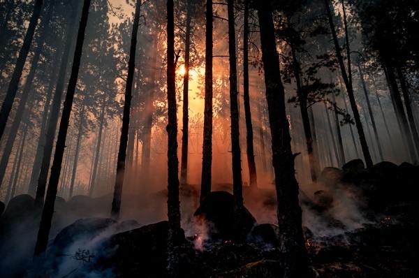 В Бурятии тушат 6 лесных пожаров