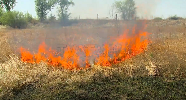 С начала пожароопасного периода в Улан-Удэ дважды горел лес