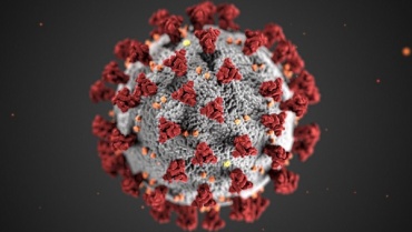 В Бурятии за сутки 29 человек заразились коронавирусом