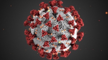 За сутки в Бурятии еще 43 человека заразились коронавирусом