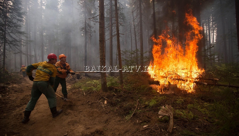 В Бурятии за сутки потушено около 4 тысяч га лесных пожаров