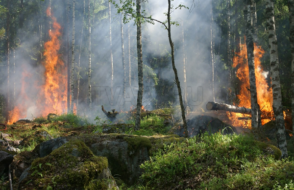 Бурятия поможет Чукотке в ликвидации лесных пожаров 