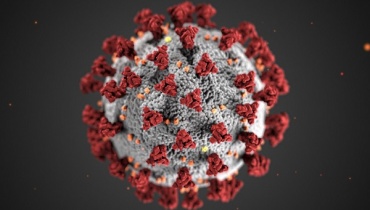В Бурятии за сутки 35 человек заразились коронавирусом