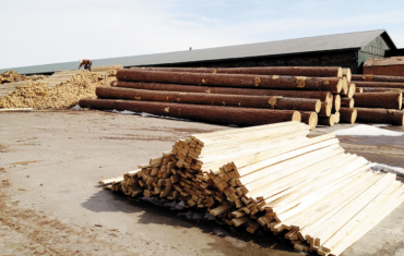 В Бурятии ввели электронный реестр пунктов приема и отгрузки древесины
