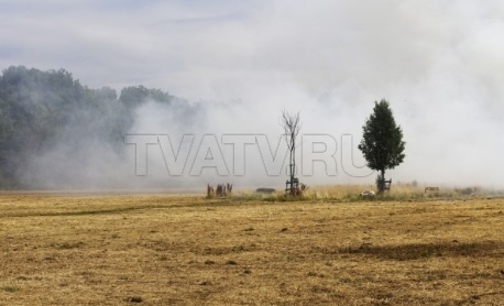 В пригороде Улан-Удэ потушили лесной пожар