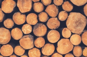 В Бурятии осудили бизнесменов за контрабанду леса