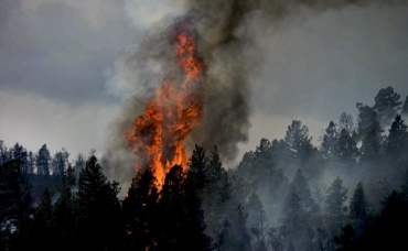 В Кяхтинском районе потушили 2 лесных пожара