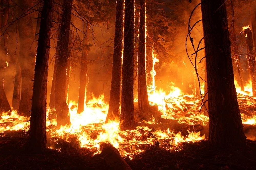 На прошлой неделе в Бурятии произошло 73 пожара на общей площади 442 гектаров 