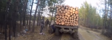 В Бурятии у "черных лесорубов" изъяли 3 млн рублей