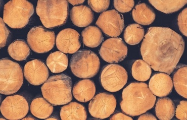 В Бурятии "черный лесоруб" нарубил лес на 140 тысяч рублей