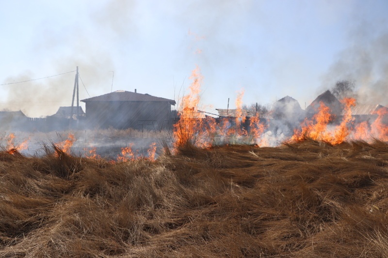 В Бурятии из-за искр от костра сгорели 12 га леса