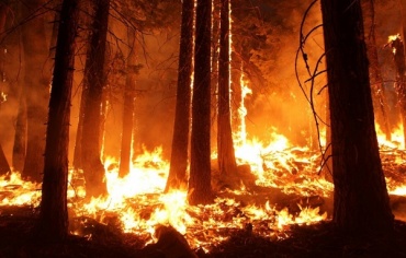 В Бурятии тушат 2 лесных пожара