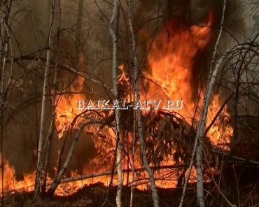 Площадь лесных пожаров в Бурятии составляет около 80 га