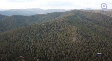 Госдума разрешила сплошную вырубку леса на Байкале для расширения БАМа