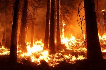 В Бурятии потушили два лесных пожара в Заиграевском районе