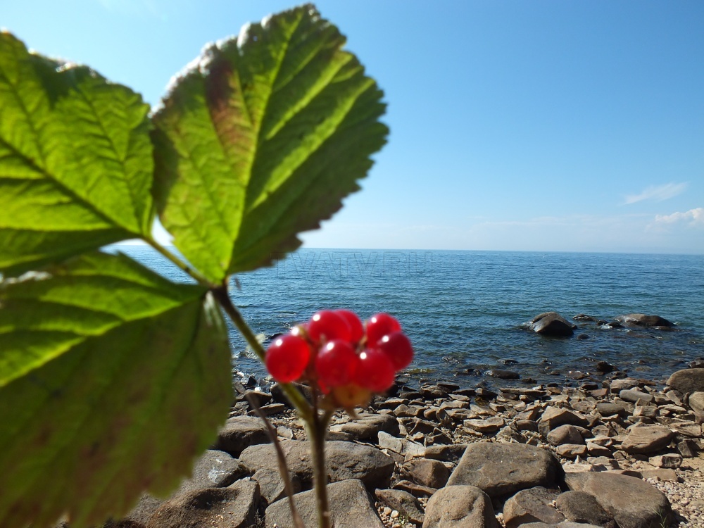 С какими проблемами сталкивается озеро Байкал