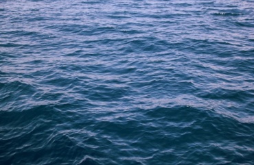 Водолазы МЧС обследуют затонувшее судно в Охотском море