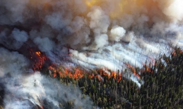 В Бурятии тушат лесной пожар в Заиграевском районе