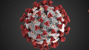 В Бурятии за сутки коронавирусом заболел еще 41 человек