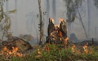 В Бурятии потушили 3 лесных пожара