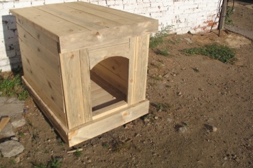 В Бурятии осужденные делают будки для бездомных собак