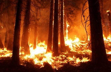 В Бурятии создадут новый авиаотряд для борьбы с лесными пожарами