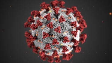 В Бурятии за сутки 39 человек заболели коронавирусом