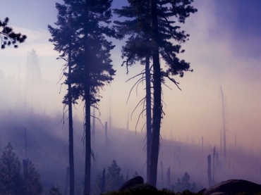 В Бурятии потушили 13 лесных пожаров
