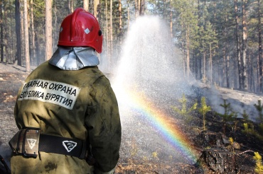 «Сберечь леса от пожаров позволяет строго выстроенная система профилактики»