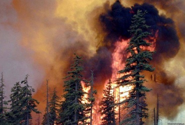 В Бурятии локализована большая часть пожаров