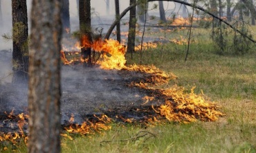 Ущерб от лесных пожаров в Бурятии в 2017 году превысил 1 млрд рублей