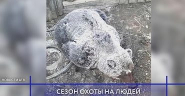 В Улан-Удэ на "зебре" сбили школьника