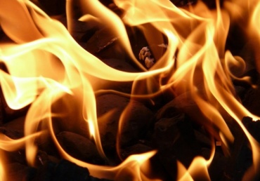 На крупном пожаре в Бурятии сгорели больше 40 животных