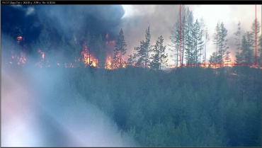 В Бурятии обнаружили лесной пожар с помощью камеры