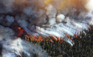 В Бурятии за сутки сгорели 1500 га леса